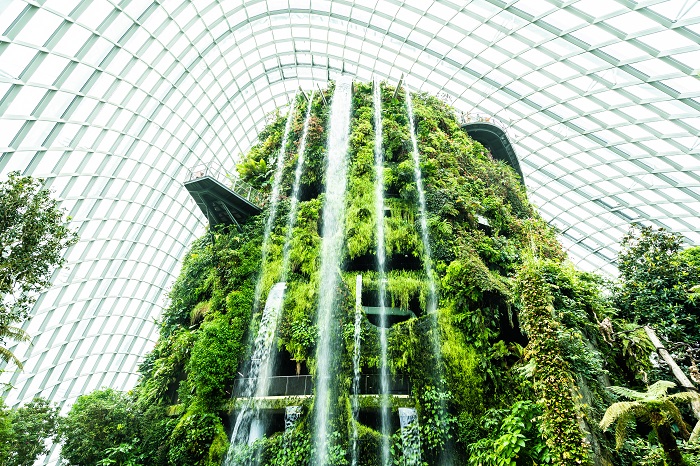 biophilic design